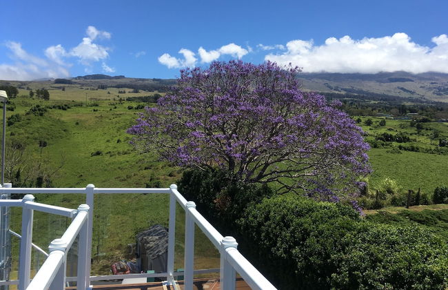 Hale Kiana - Foto 25