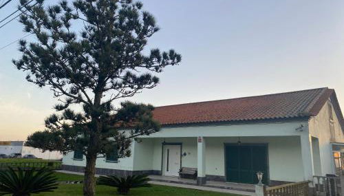 Green Tropical House - Photo 4