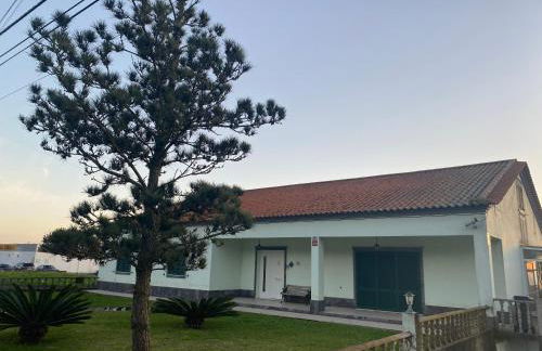 Green Tropical House - Photo 4