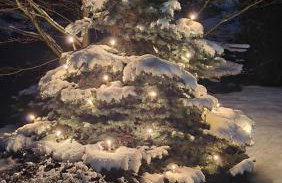 Szwajcarski Dworek - Foto 70