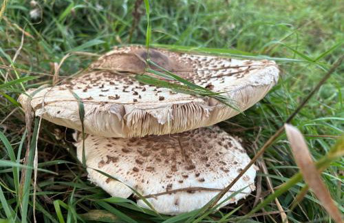 dla mnie się podoba - Foto 58