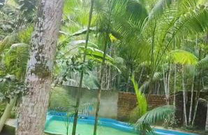 Chácara Bela Vista - Photo 33