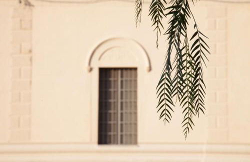 Feudo Vagliasindi -Wine Experience- - Foto 77