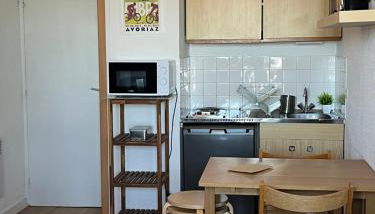 Studio lumineux à Prapoutel, Les 7 Laux, Alpes - Foto 5