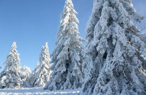 Ferienwohnung Hankeln - Foto 40