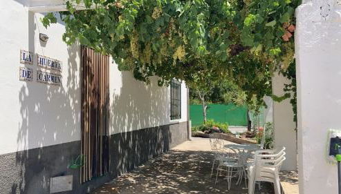 La huerta de Carmen - Foto 3