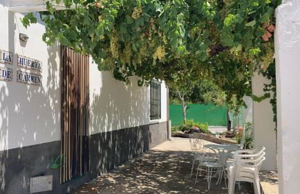 La huerta de Carmen - Foto 3