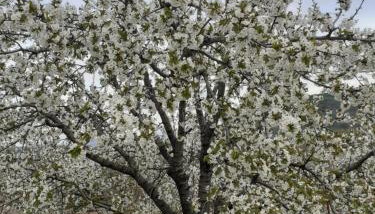Casa Belen I y II - Foto 5