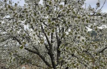 Casa Belen I y II - Foto 5