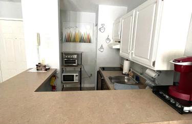 Mountain View Suite on Jiminy Peak Ski On Off -New - Foto 8