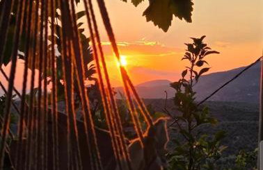 Zelis In Pelion Greece - Foto 74