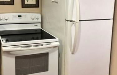 Charming 1-bedroom Basement Close to DC Pets Allowed - Photo 9