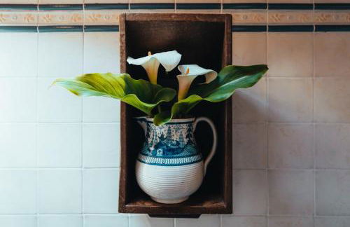 Os Migueliños - Foto 41