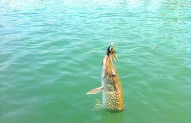 Agriturismo la Torre - Foto 70