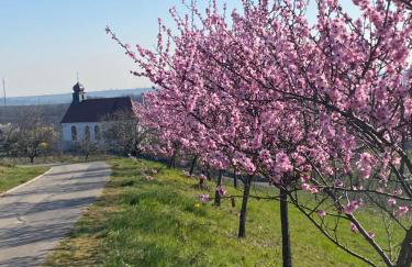 Atelier de Pfalz-Loftstyl mit Pfalzblick - Foto 46