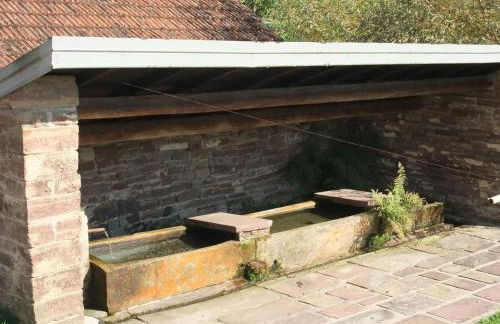 Gîte calme à Fougerolles, idéal pour familles - FR-1-583-456 - Foto 20