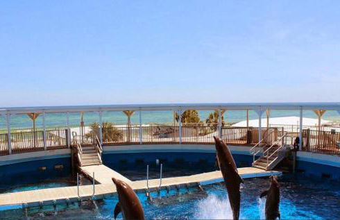 Island Princess 315 - Foto 38