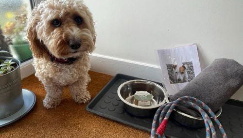 1 Woodlands - Photo 4