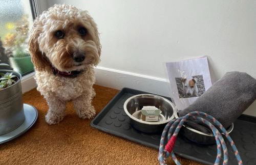 1 Woodlands - Photo 4