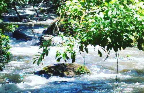 Casa das Araucárias - Sítio Salamandra, Vale do Matutu - Foto 18