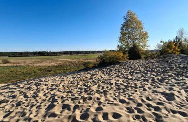 Augustówka - letnisko na Wrzosowiskach - Foto 56
