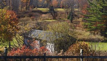 Fireball's Lodge - Foto 4