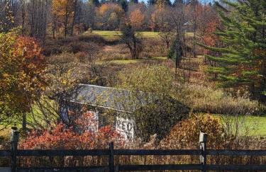 Fireball's Lodge - Foto 4