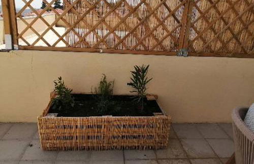 zélu apartamento centro da Guarda - Foto 21