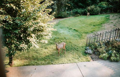 Private 5 Acre CabinHotTubGameRoom by OlympicNP - Foto 8