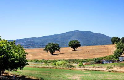 Agriturismo Poggio Degli Ulivi - Foto 7