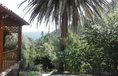 Casa Velha - Foto 16