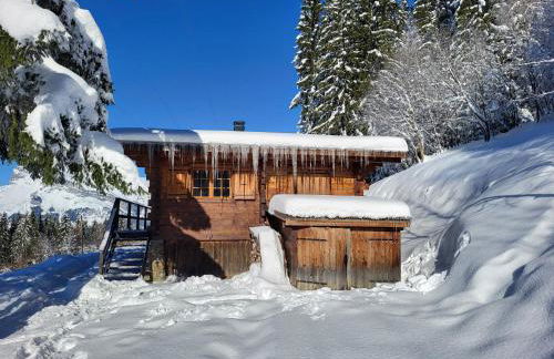 Chalet d'alpage avec vue incroyable - Foto 64