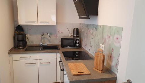 Ferienwohnungen Thon an der Schloßruine - Foto 4