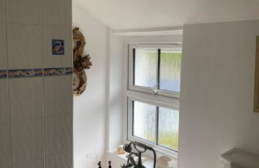 Hollyhocks - Foto 12