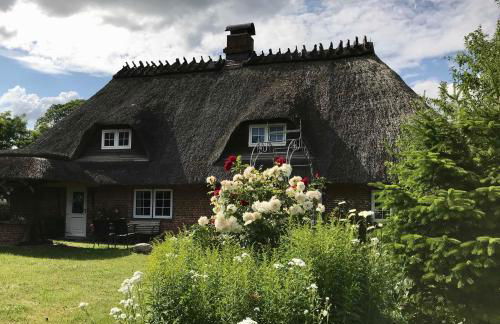 Reetdachkaten in Schuby, Ostsee - Foto 14