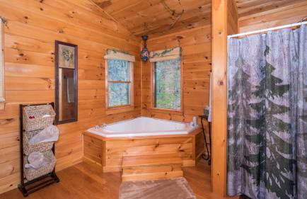 Red Apple Mountaintop cabin hot tub, WiFi, Pet friendly, Fireplace, pit, BEST VIEWS - Foto 13