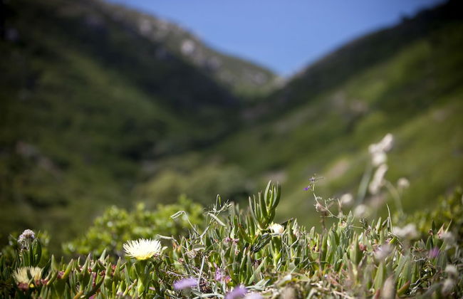 Convento de São Saturnino - Photo 31