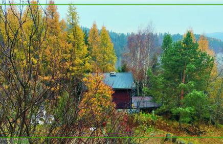 Domek Zielony Widok - noclegi Bieszczady - Foto 24