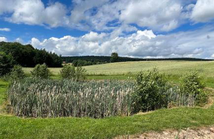 W Kręgu Natury - Foto 56