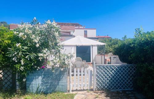 Giglio D'Oro - Elba Affitti - Foto 11