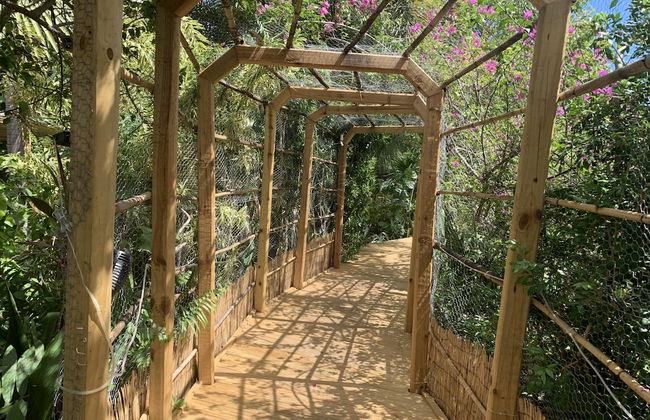 The Secret Garden - The Cottage Near Beach, Shops, Restaurants, Pet Friendly, Close to Lucerne Ave! - Foto 31