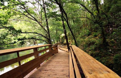 Casa do Tanque T2 - Foto 32