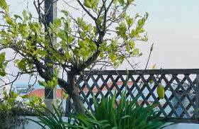 The Lemon Tree House by IntiHolidays - Foto 16