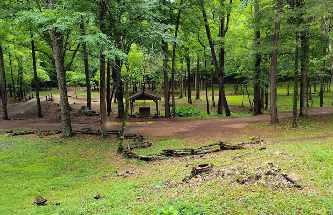 Bean Creek Cabins - Foto 52