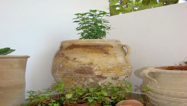 Diamond Apts and Suites - Photo 4