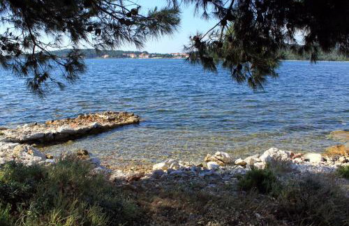 Apartments by the sea Veli Rat, Dugi otok - 438 - Photo 6