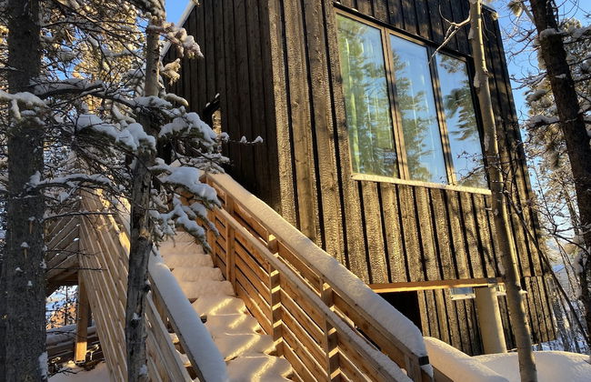 Yukon Black Spruce - Foto 13