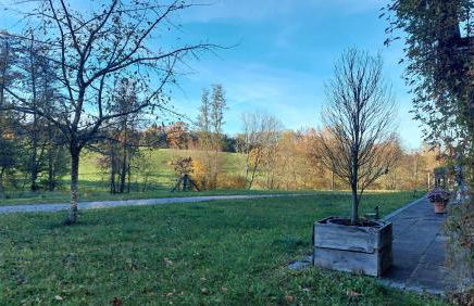 Ferienwohnung Gutshof in Seenähe - Foto 26