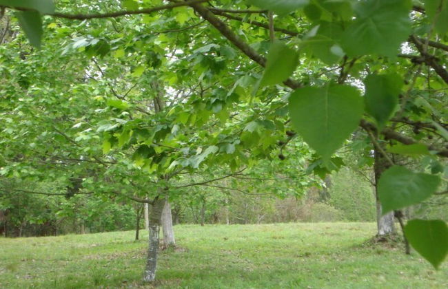 Harry World Parque Hotel - Photo 9