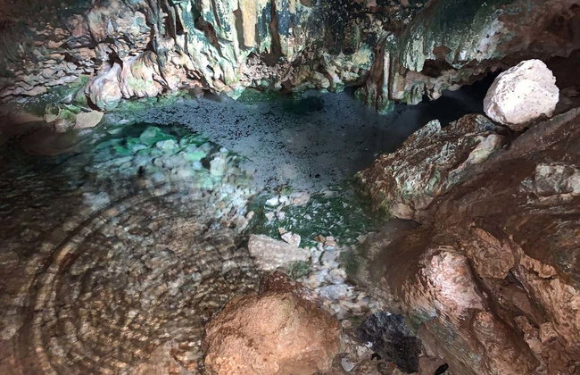 Visite des grottes de Bonaire avec snorkeling - Photo 2